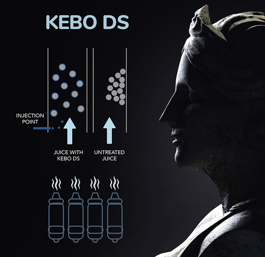 Auf der rechten Seite ist eine weibliche Skulptur abgebbildet und auf der rechten Seite wird die Wirkweise von KEBO DS dargestellt 
